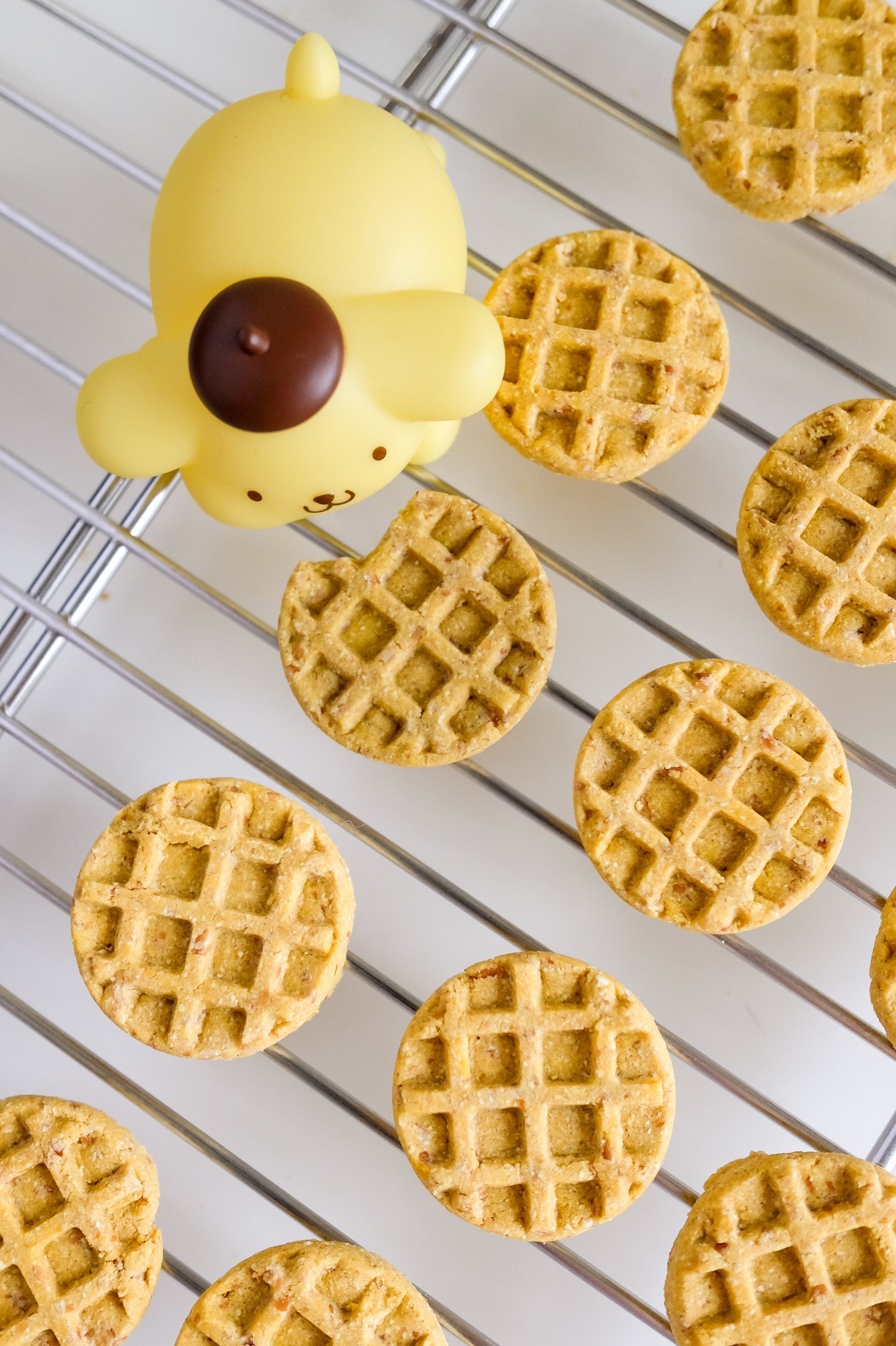 Pumpkin Oat Waffle Bites