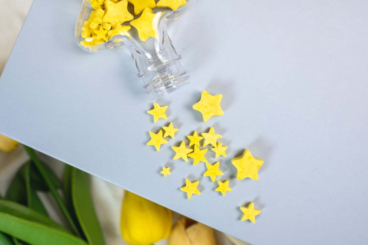 Starry Goat Milk Bites