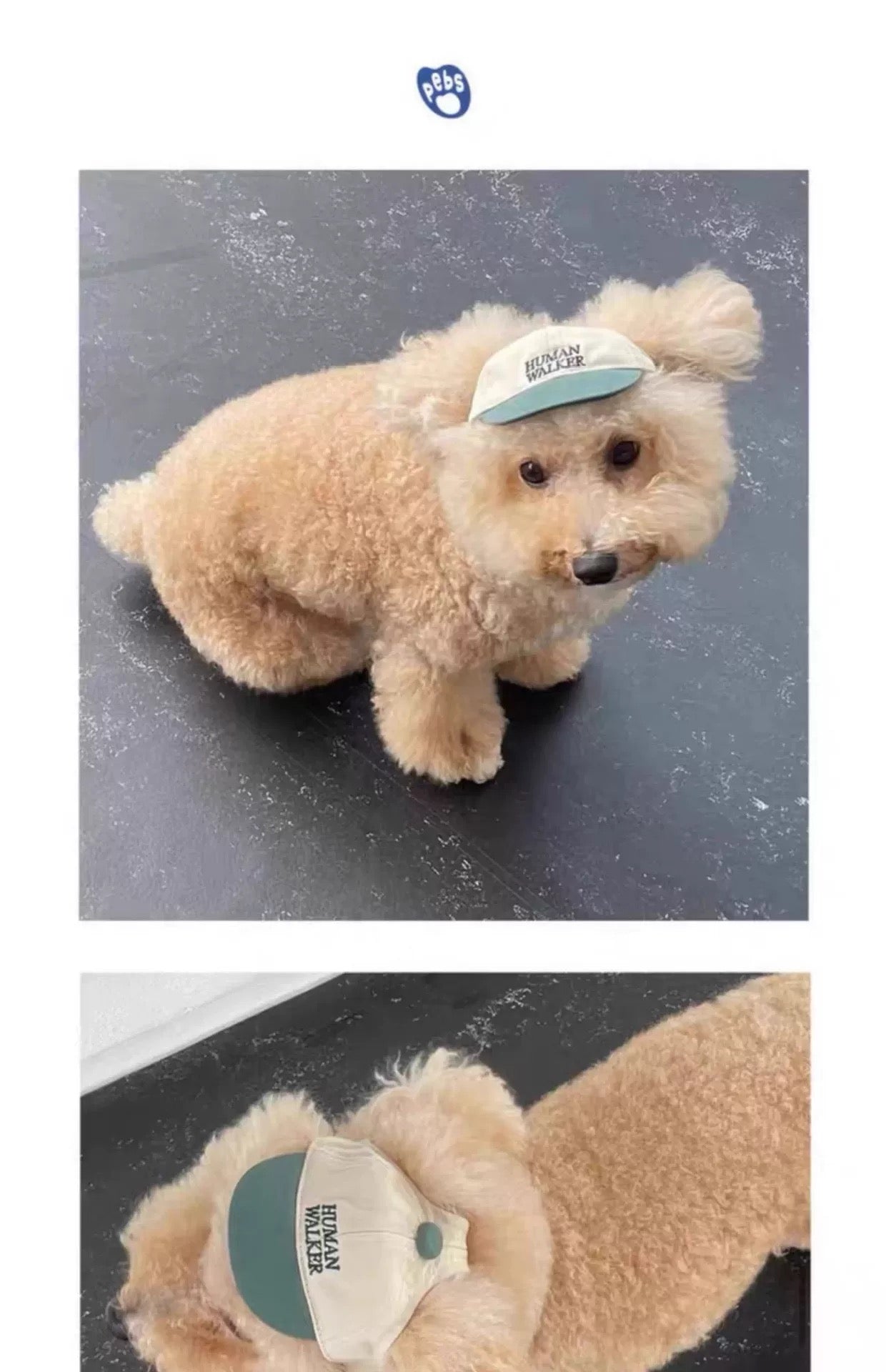 Full-Time Dog/Human Walker Cap